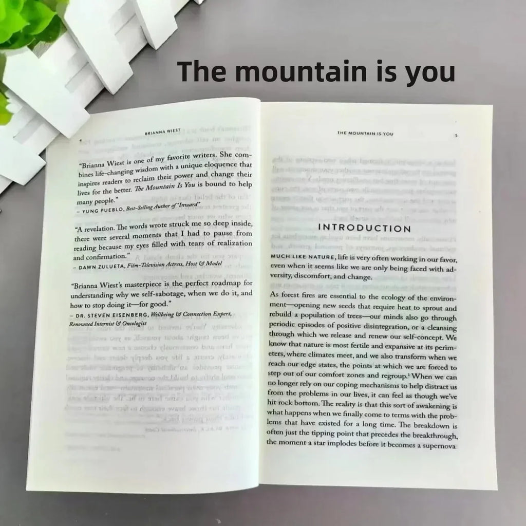 The Mountain Is You by Brianna Wiest | Self-Help Book Self-Mastery Self-Improvement English Paperback Book Kairos & Co.