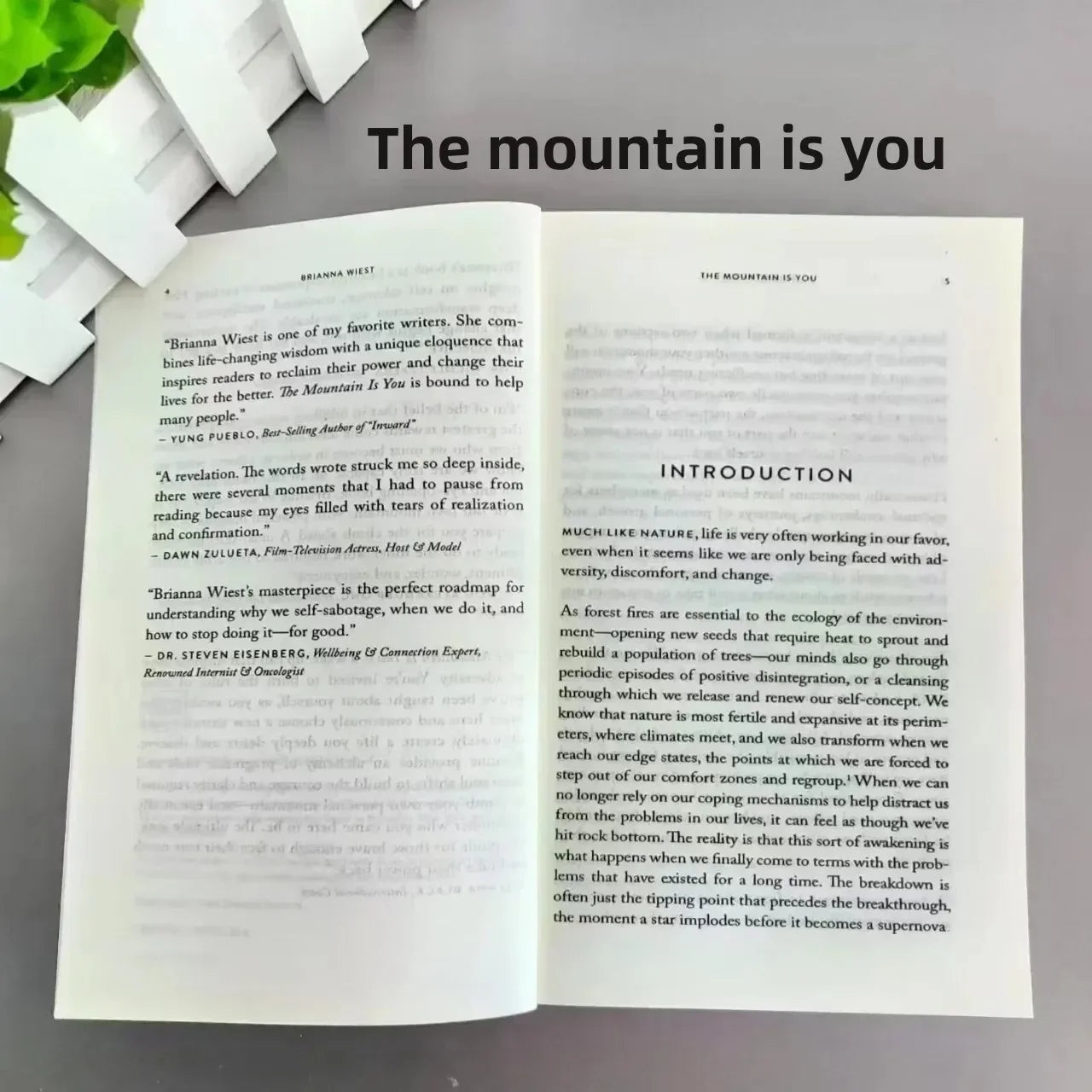 The Mountain Is You by Brianna Wiest | Self-Help Book Self-Mastery Self-Improvement English Paperback Book Kairos & Co.