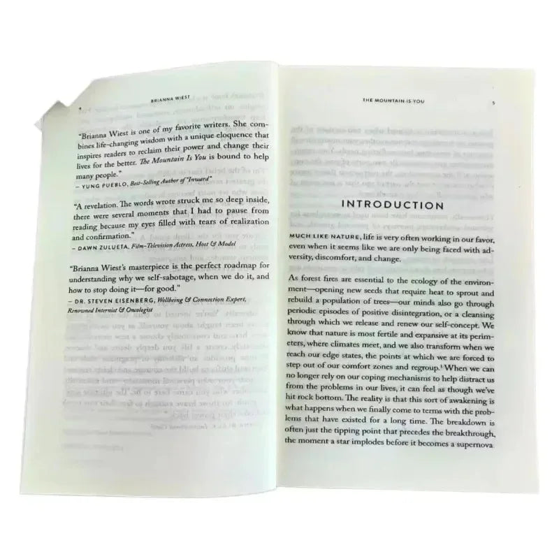 The Mountain Is You by Brianna Wiest | Self-Help Book Self-Mastery Self-Improvement English Paperback Book Kairos & Co.